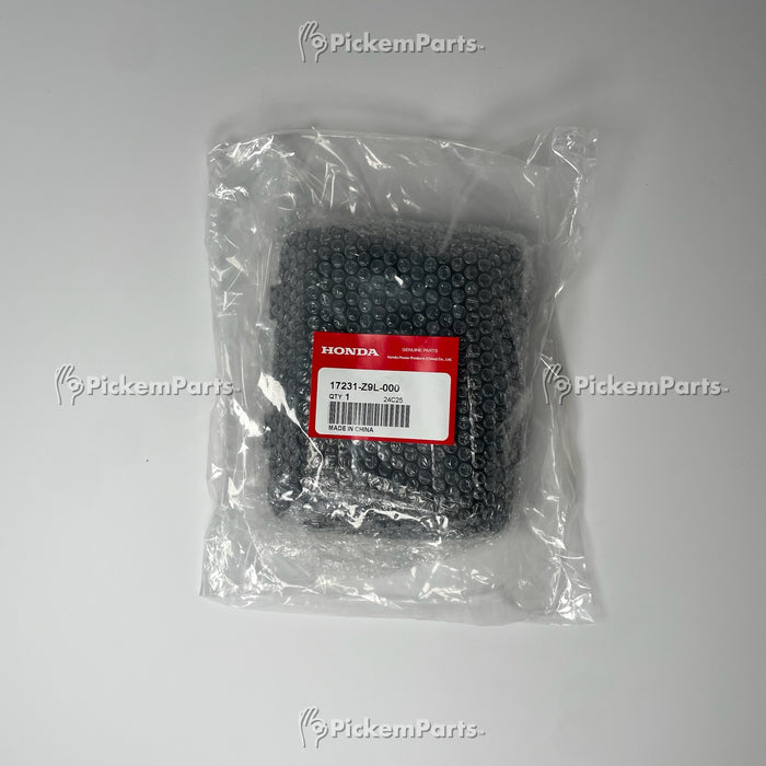 17231-Z9L-000 | Honda | COVER, AIR CLEANER