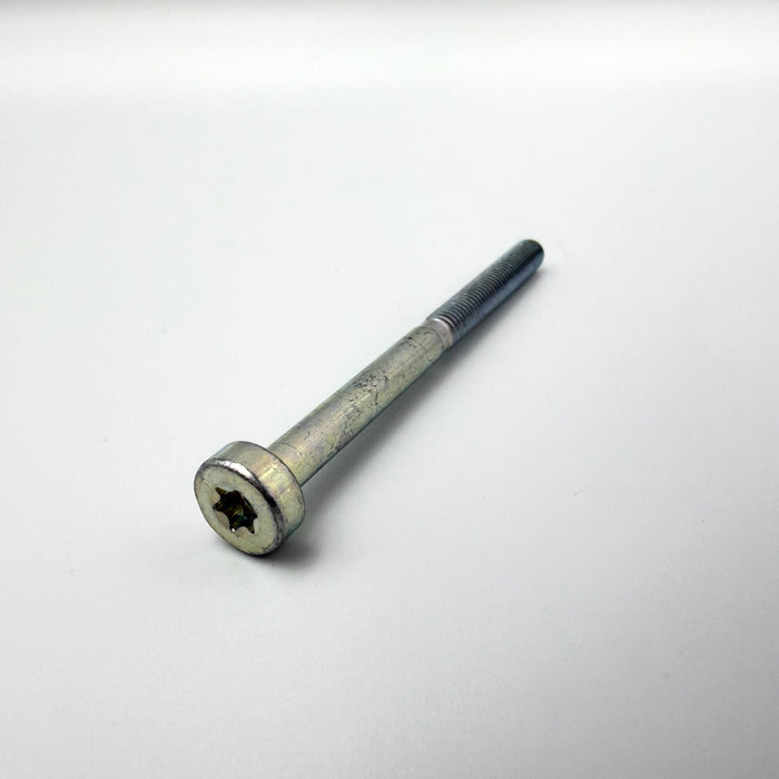 ECHO (2) Intake Screw (5x65) GT-225 PAS-225 SRM-225 V805000100 Genuine OEM
