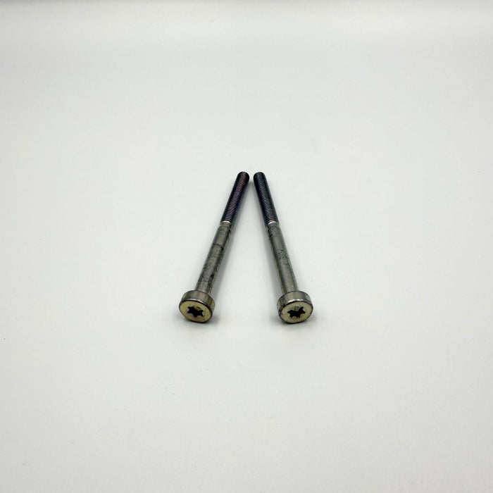 ECHO (2) Intake Screw (5x65) GT-225 PAS-225 SRM-225 V805000100 Genuine OEM