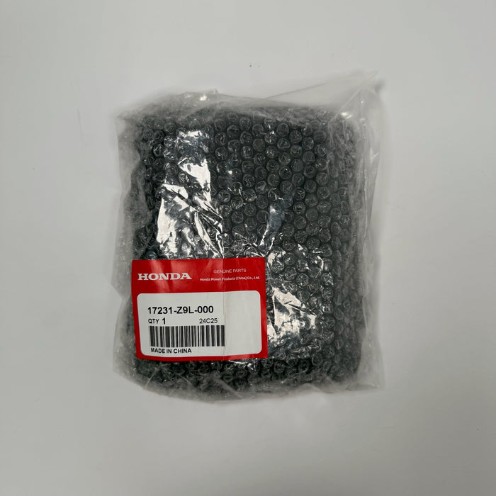 HONDA Air Filter Cover HRN216 HRX217K6 GCV170LA GCV200 17231-Z9L-000 Genuine OEM