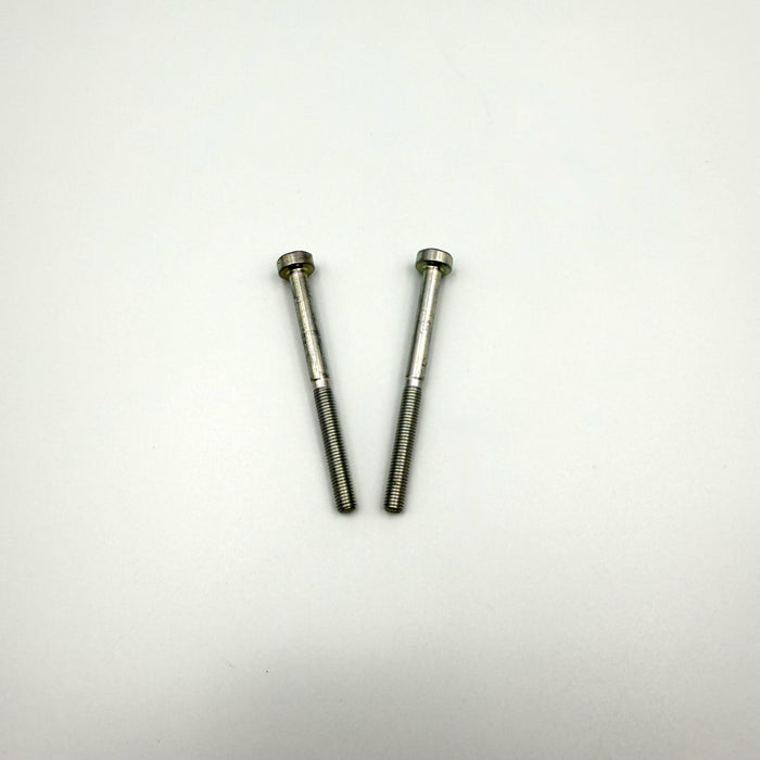 ECHO (2) Intake Screw (5x65) GT-225 PAS-225 SRM-225 V805000100 Genuine OEM
