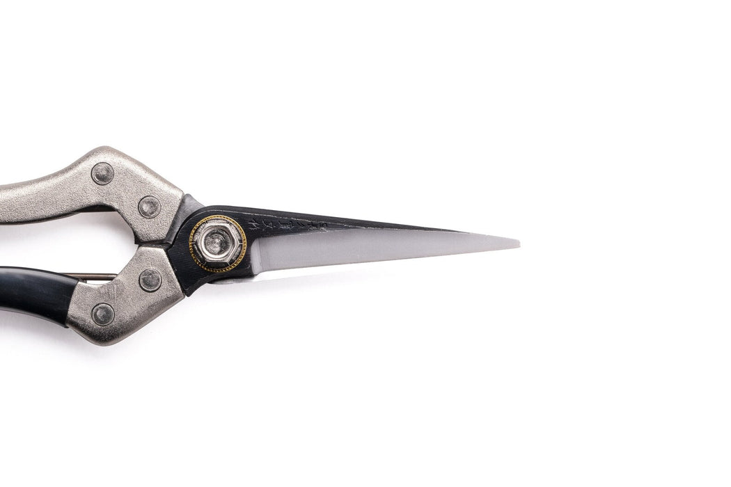 ZUTTO Brand Japanese Made Thinning Shears 210mm Yasuki Clad Steel